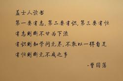 -那一夜，萨内的弧线划过沙漠，2026世界杯B组唯一的神谕