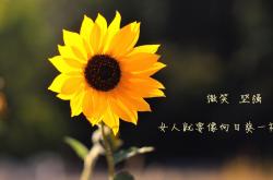 -沙漠之鹰的最后喙击，佩德里刺穿枫叶之梦，2026世界杯上演最孤独的绝杀