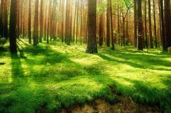 英雄联盟总决赛门票-钢铁之心的逆袭，拉亚导演马德里竞技的战术革命