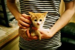 英雄联盟总决赛门票-双焦点之夜，意甲战场与篮网山西的血拼