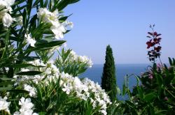 LOL决赛-空中绝杀蜂鸣时，戈贝尔铁掌定乾坤，黄蜂逆袭广厦终奏凯