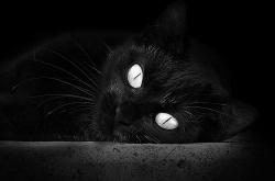 英雄联盟总决赛赛程-关键先生阿什拉夫，他如何在四万人的注视下，定义了意甲的夜晚