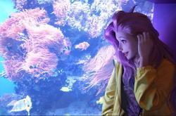 英雄联盟总决赛时间-错位的宿命对决，当霍姆格伦的利刃，碰上雄鹿坚不可摧的盾