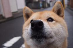 英雄联盟总决赛2025-北方童话再续，萨内绝杀莱比锡红牛，芬兰奇迹诞生记