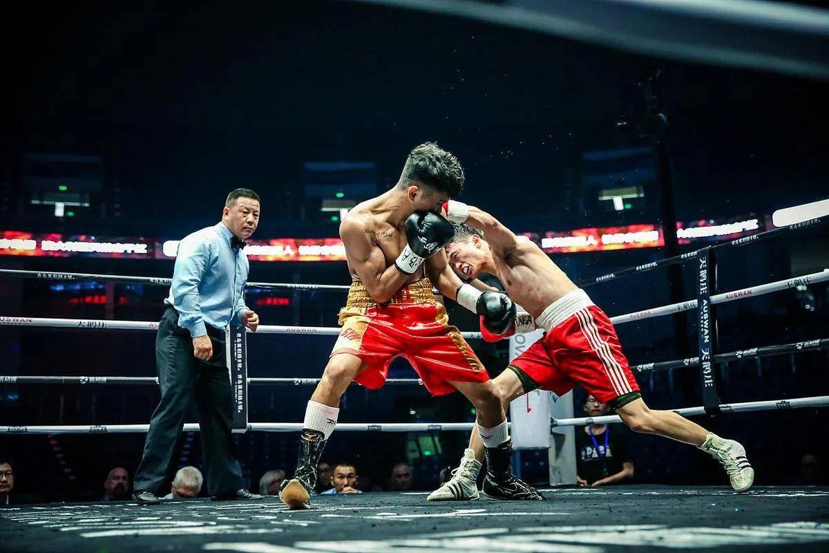 包含球星爆发！拳击赛场再现神级操作的词条