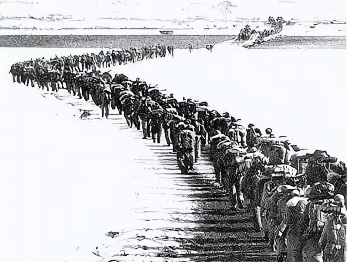 直布罗陀队壮烈抗争,终止征程 直布罗陀队壮烈抗争,终止征程