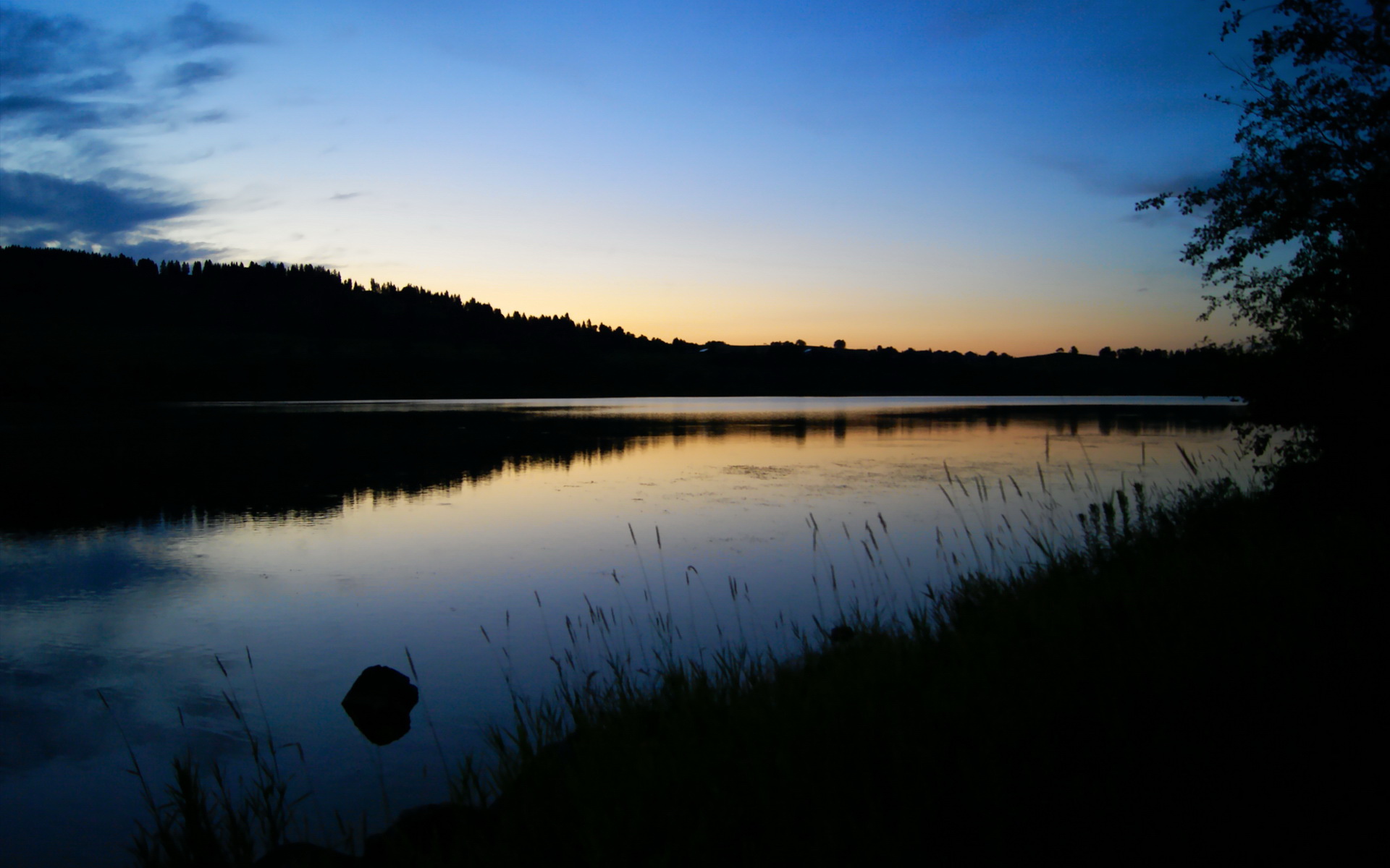 独行侠的致命突袭,英格拉姆利刃出鞘,篮网防线土崩瓦解