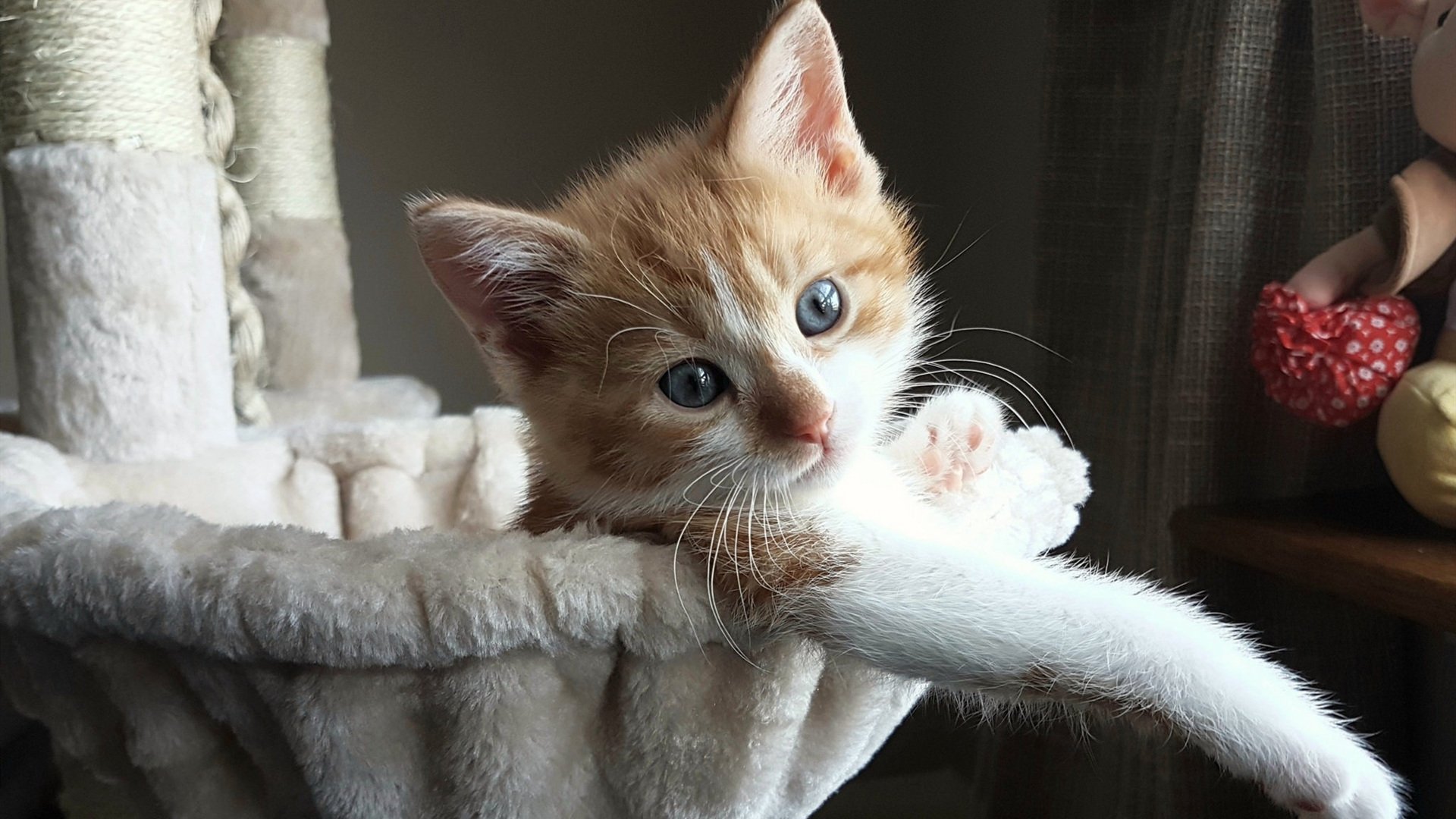 破壁者,当拉什福德的英超节奏撕裂德甲铁幕—解析拜仁节奏掌控失效之夜