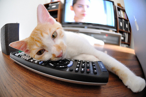 跨越国界的英雄,弗拉霍维奇在日本对阵喀麦隆的决战中挺身而出