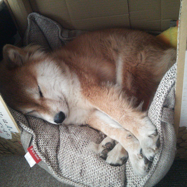 双城记,英超争冠焦点战与湖人轻取浙江队的体育启示