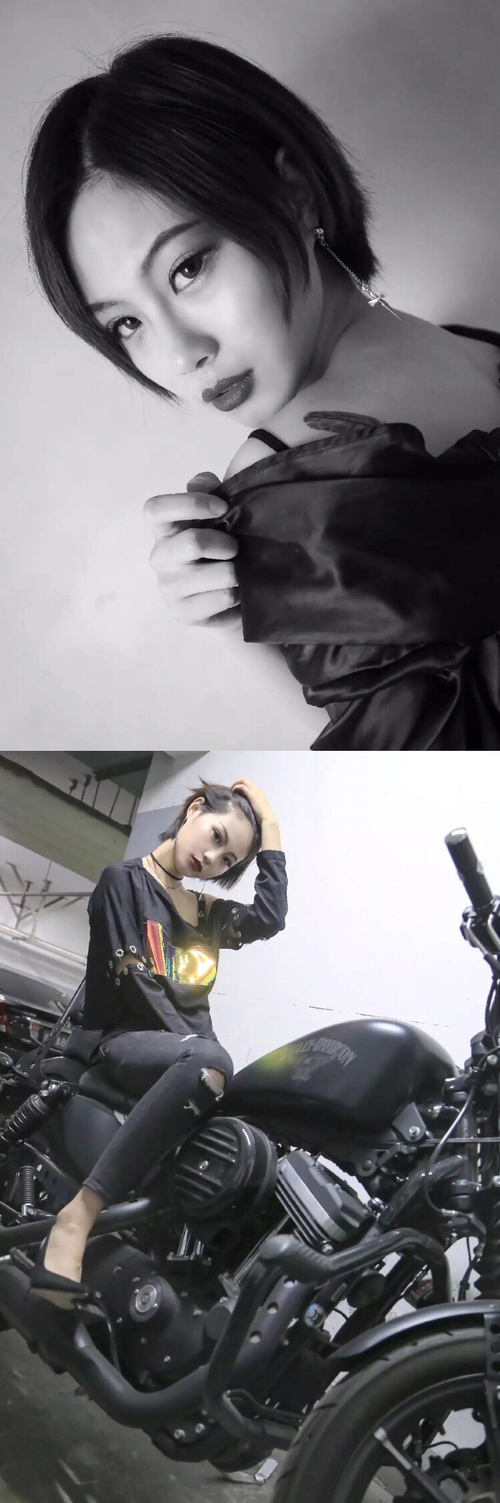 塔图姆闪耀巨星光芒,辽宁队打破魔咒神话