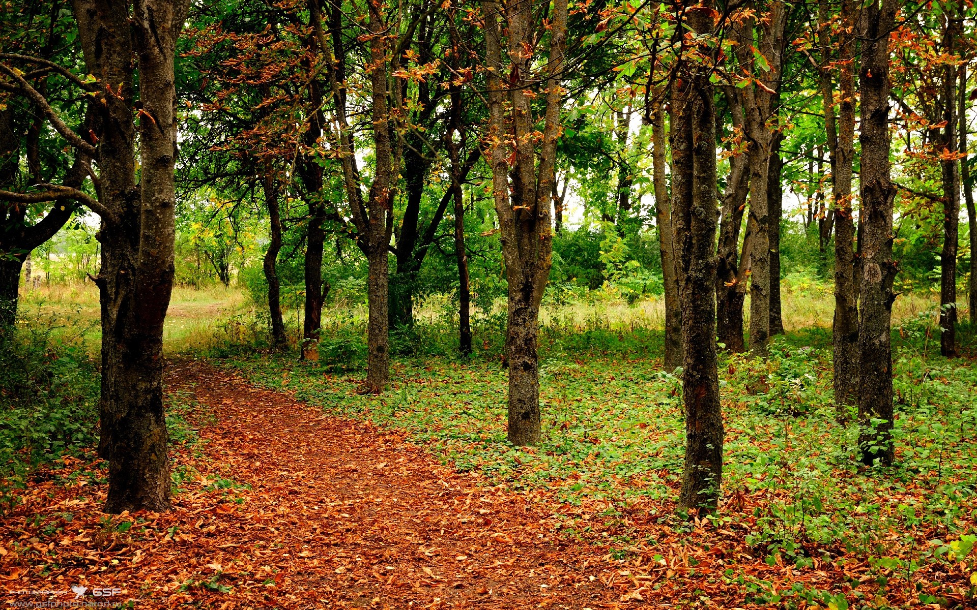 棋局上的终章，萨拉赫的埃及时间如何破解丹麦的精密齿轮