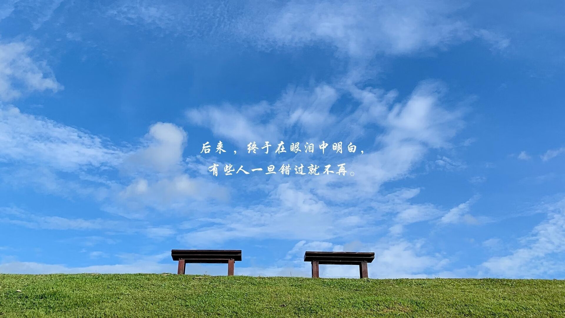 蓝白风暴席卷沙漠,2026世界杯B组丹麦完胜阿联酋,迪亚斯领衔的默契美学