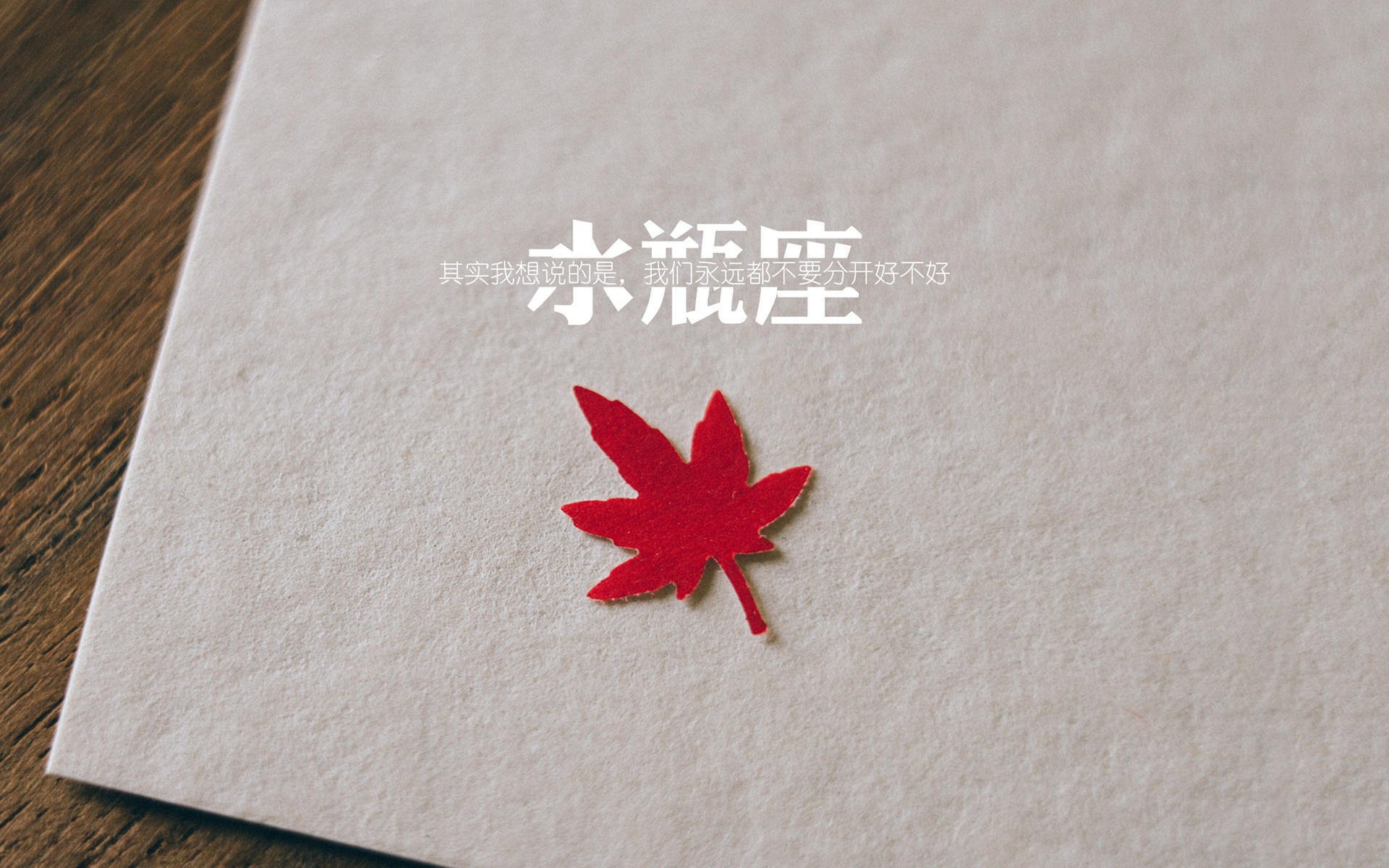 孤星逐月,2026世界杯G组,奥斯梅恩的钢铁防线与英格兰的黄昏