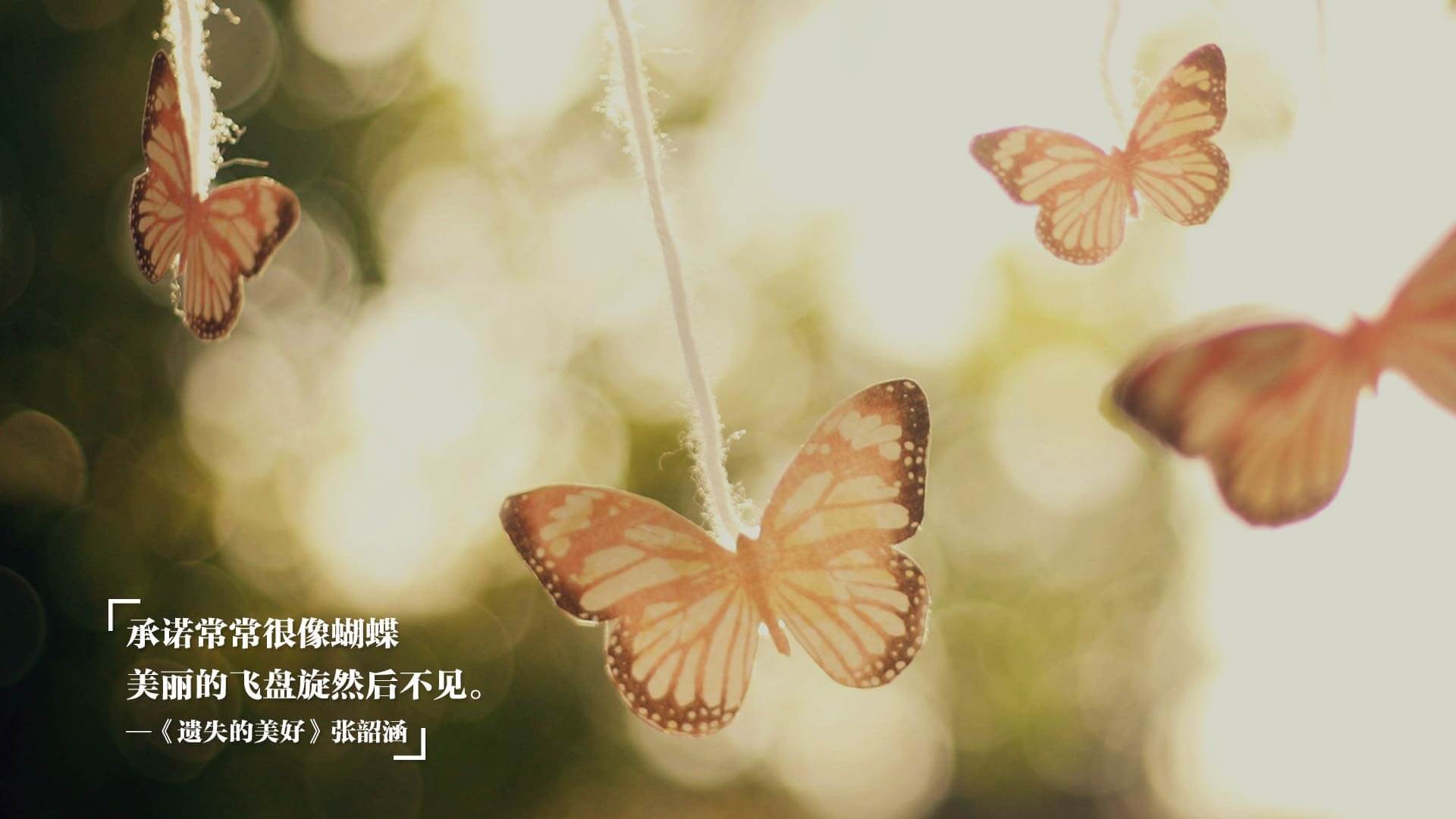 范戴克擎天立柱,卡塔尔掠过紫罗兰,2026世界杯A组首轮,一场关于唯一性的战术革命